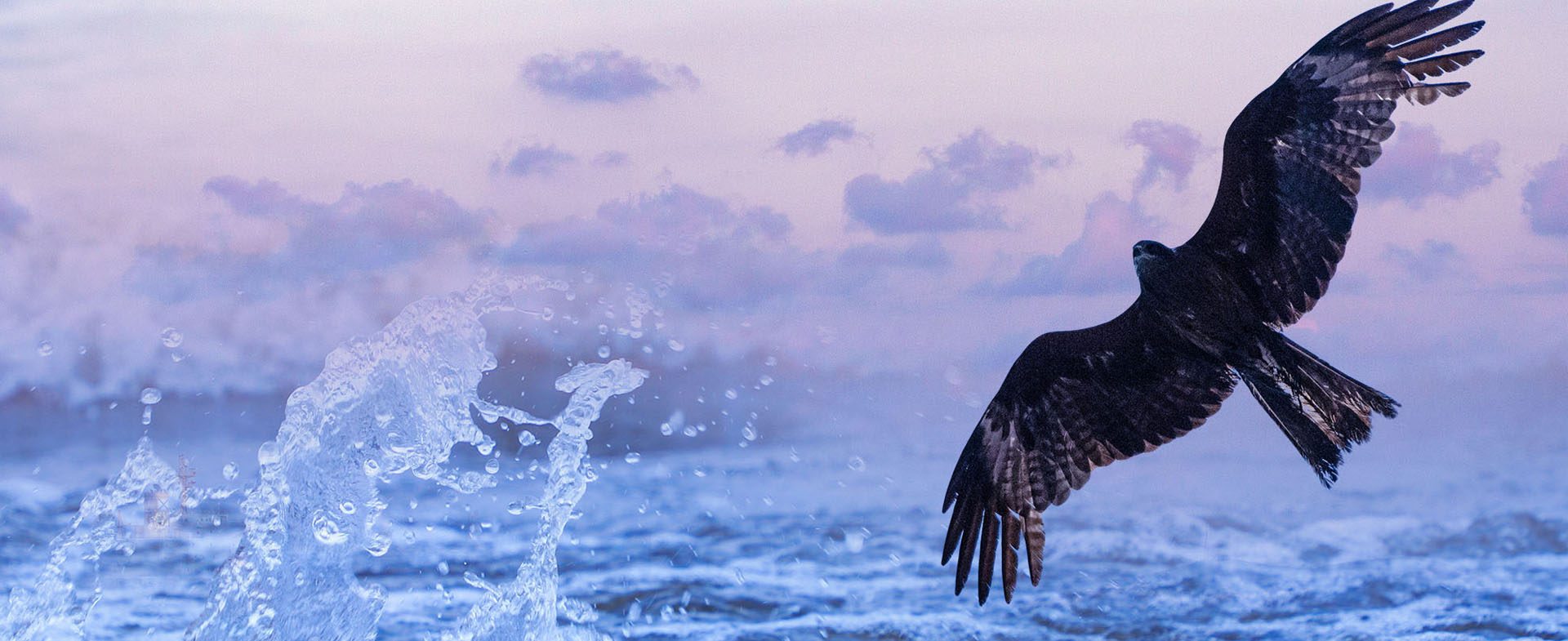 山東凱信重工機械有限公司